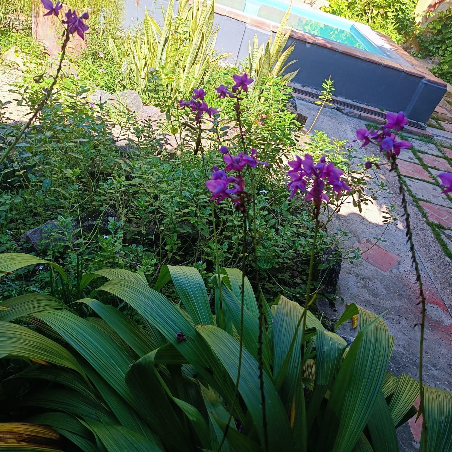 Casa Sinning-Ano1637 มอมโปส ภายนอก รูปภาพ